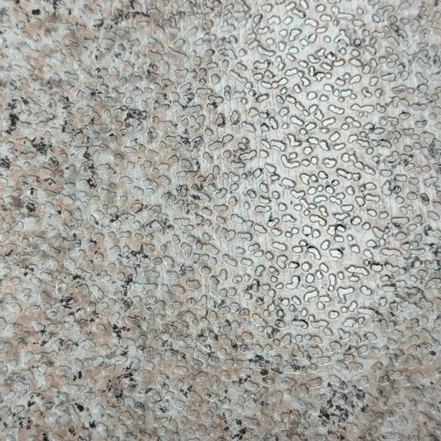 WechatIMG452