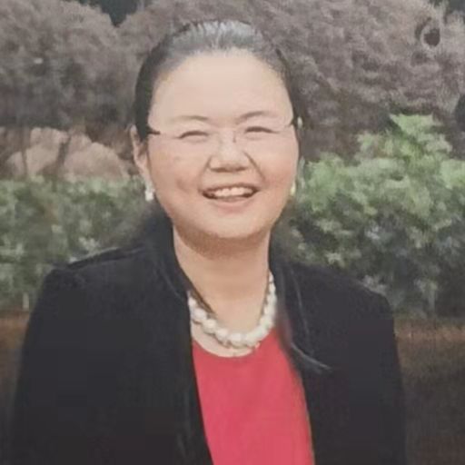 曾担任清澜山学校财务总监、华为全球技术服务部CFO、拉美大区CFO、区域管理财务管理部部长等岗位。