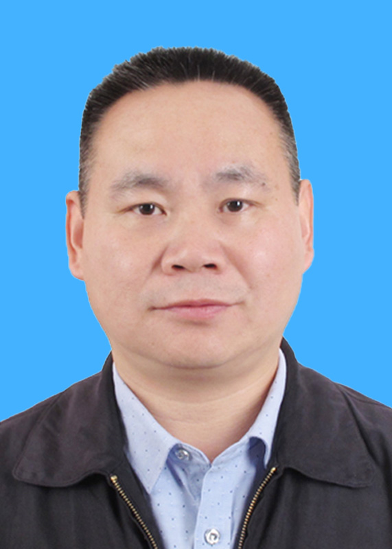 描述
