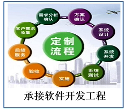 软件开发