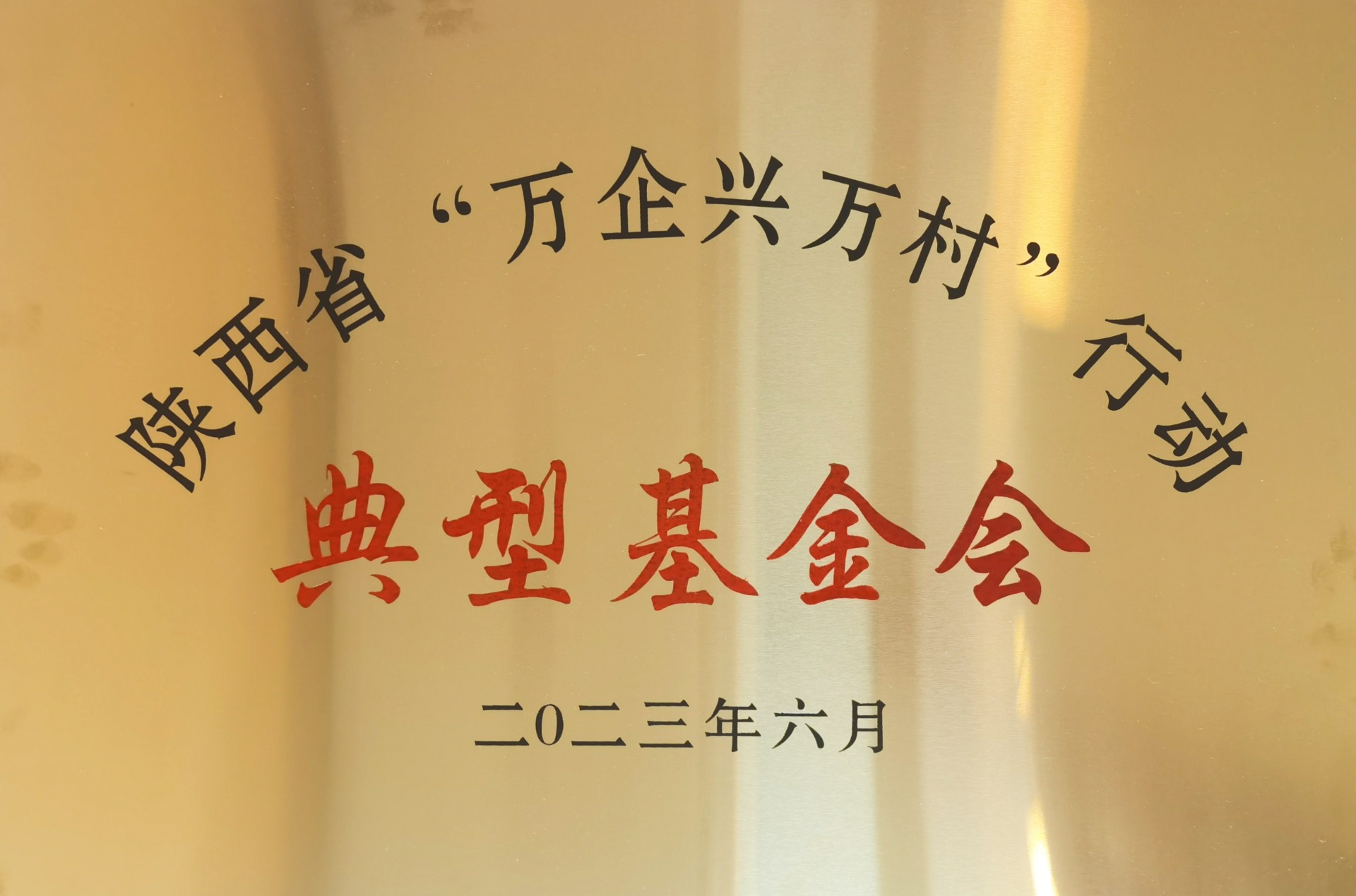 2023年6月，被陕西省工商联评为”万企兴万村“典型基金会。