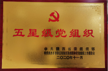 五星级党组织