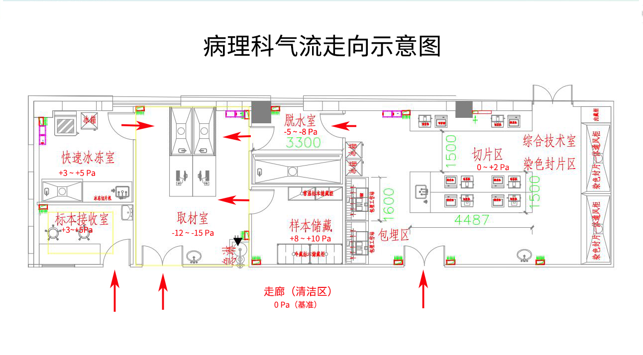 病理科氣流組織