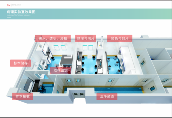 131aafac9dc0eb6bbae0a456b54ff59