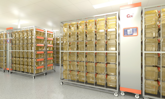 750475bcbba56135b549a51b720c0d88