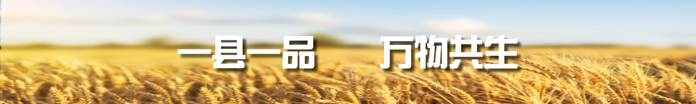 未命名(15)-3