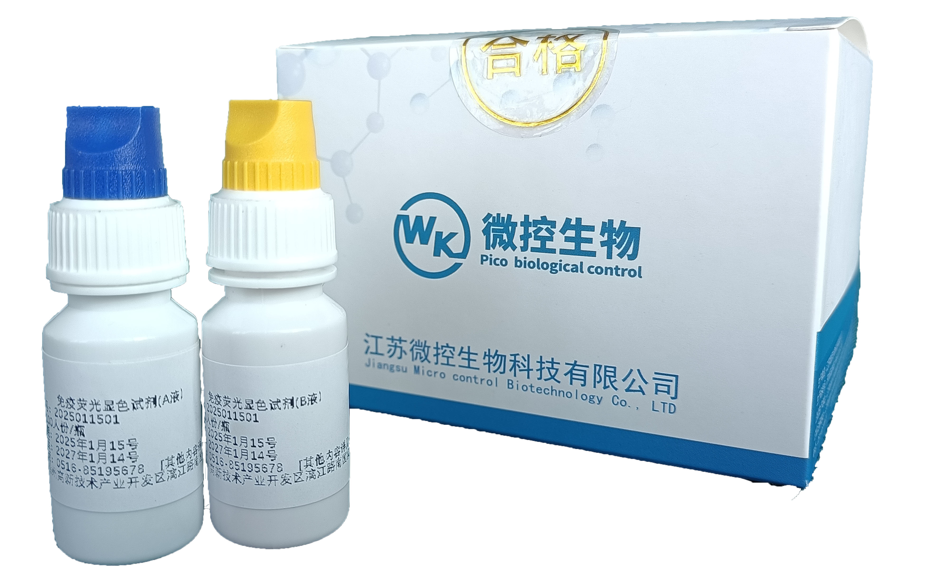 通过免疫荧光技术,标记待检物中的细菌霉菌等相关成分,待检物为阴道分泌物及各类分泌物等。荧光显微镜B波段用于观察脱落细胞及细菌和滴虫,UV 波段观察真菌。
