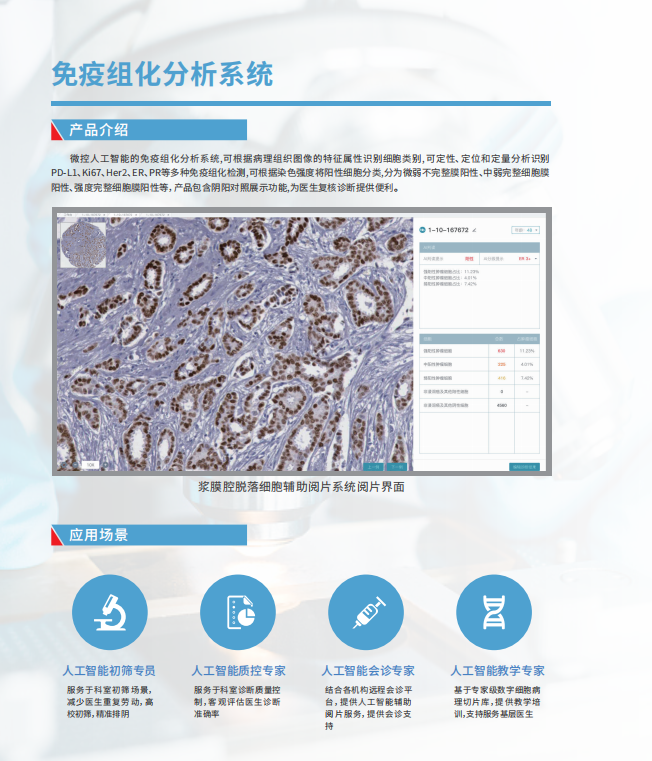 免疫组化分析系统