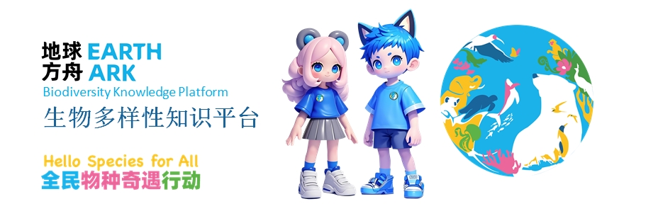 描述