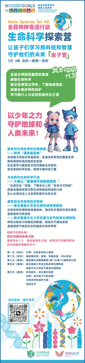 描述