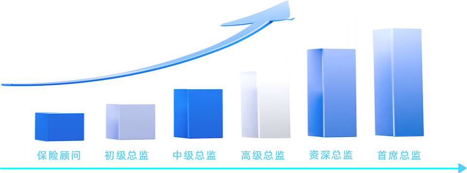 描述