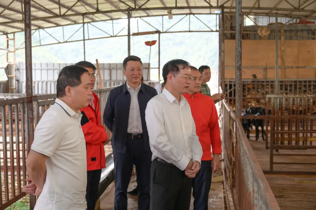 南化集團(tuán)赴定點(diǎn)幫扶村開(kāi)展鄉(xiāng)村振興調(diào)研