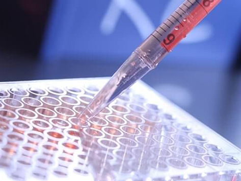 ● Cytotoxicity test GB/T 16886.5-2017
● Sensitization test GB/T 16886.10-2017
● Irritation test GB/T 16886.10-2017
● Drug sustained release materials GB/T 16886.10-2022
......
Biological evaluation of medical devices refers to the test items of materials that simulate the use of medical devices under extreme circumstances.
The response generated by specific parts of the body is a comprehensive analysis and evaluation that must be tested before being launched.