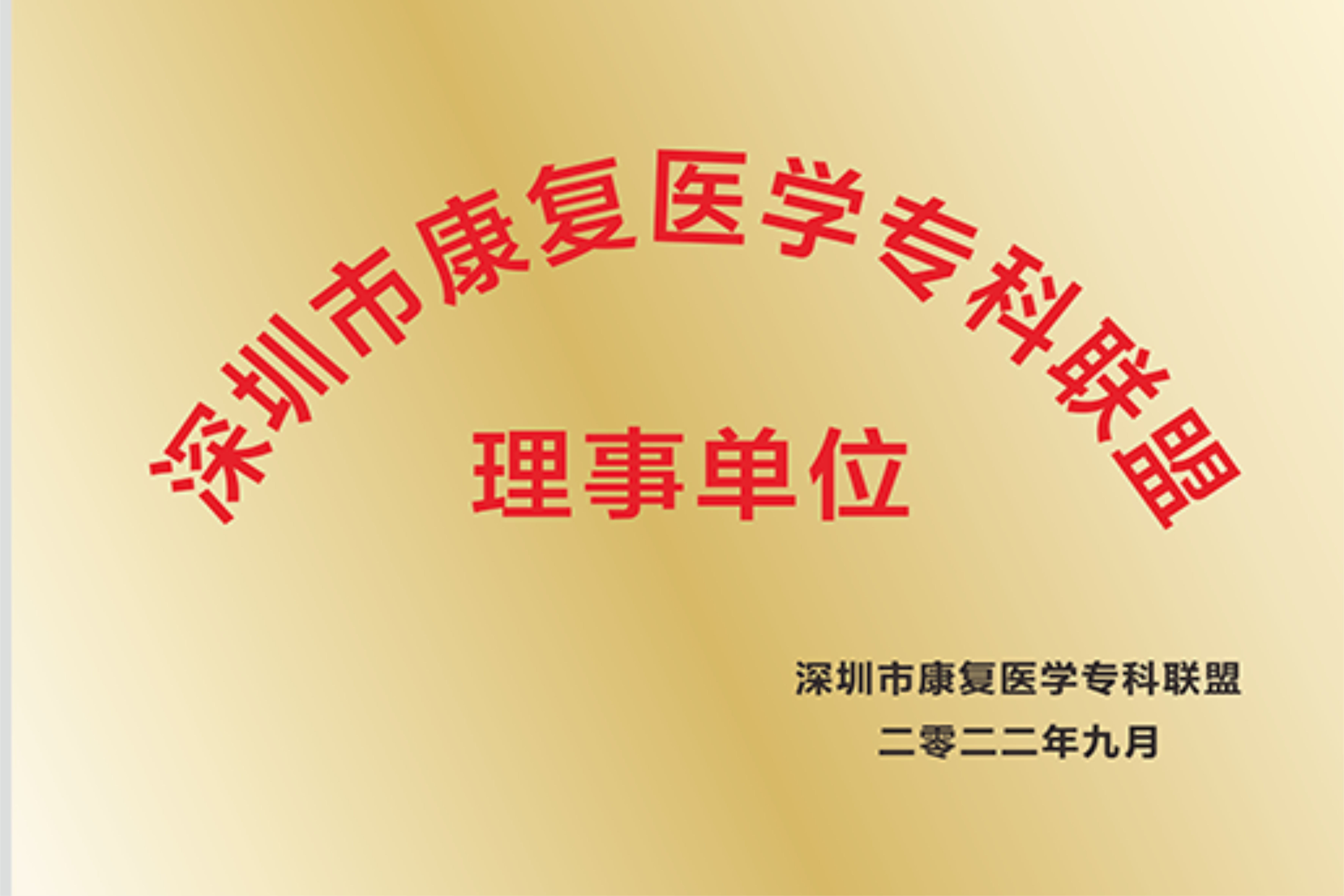 3深圳市康复医学专科联盟理事单位