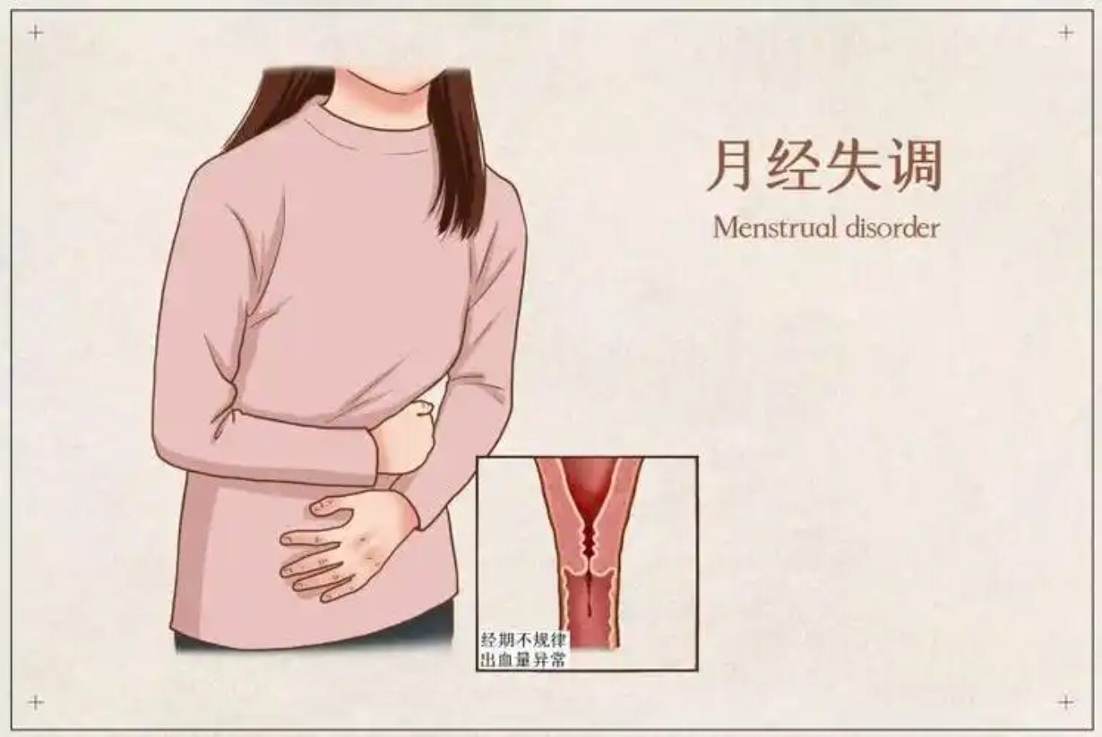 微信截图_20250517151855