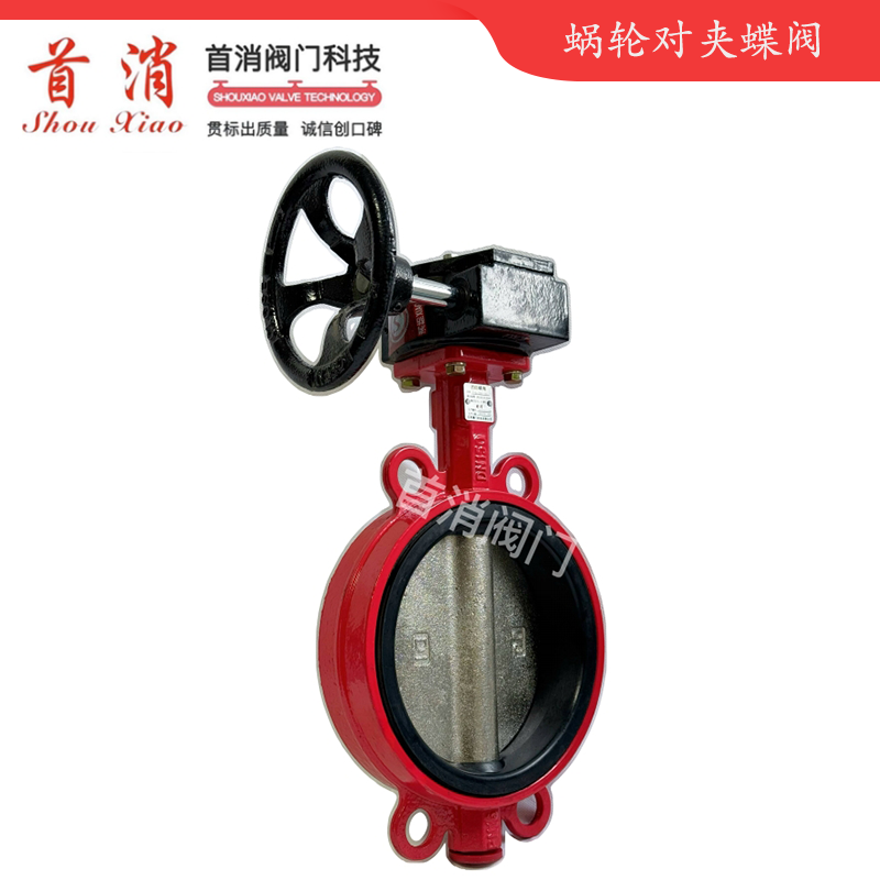 蜗轮对夹蝶阀