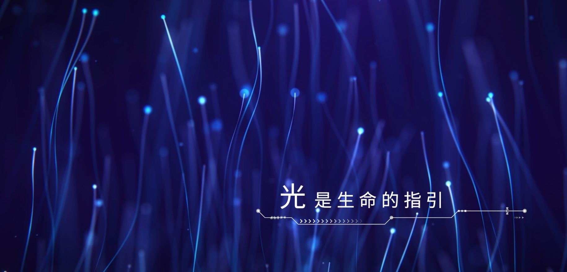 荧光影像系统产品视频221205