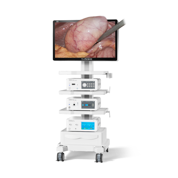 HORUS 3D Endoscopy Camera System