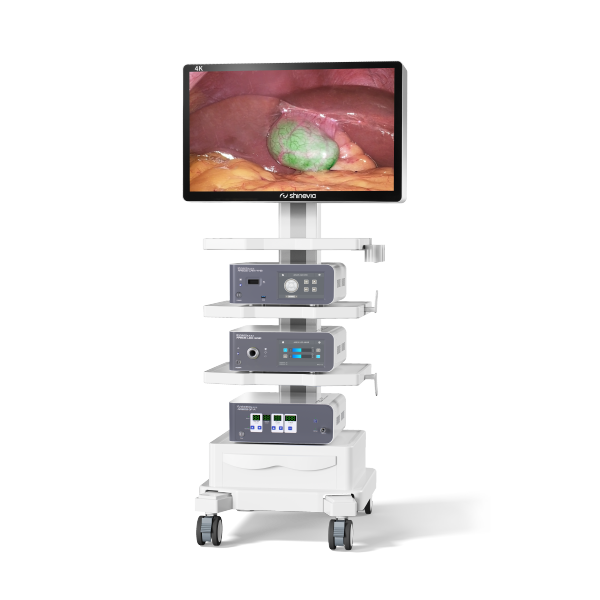 ARGOS 4K Ultra HD Fluorescence Endoscopy System