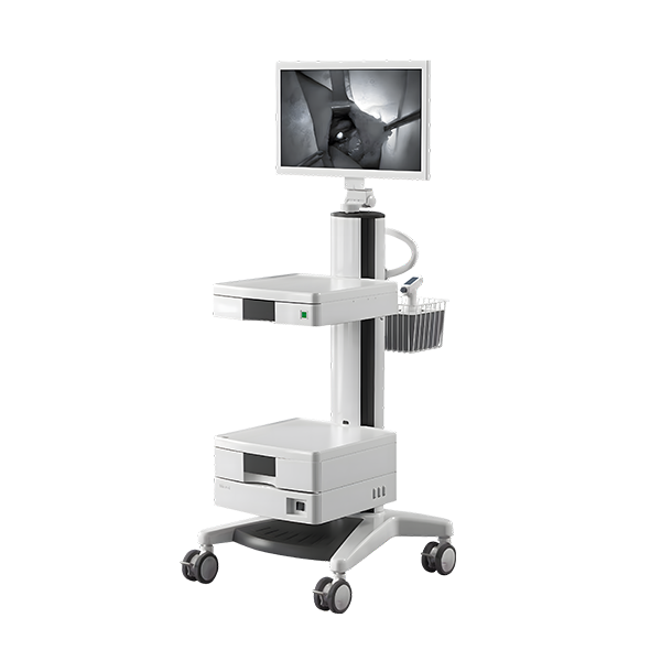 Fluorescence camera system 300PTB