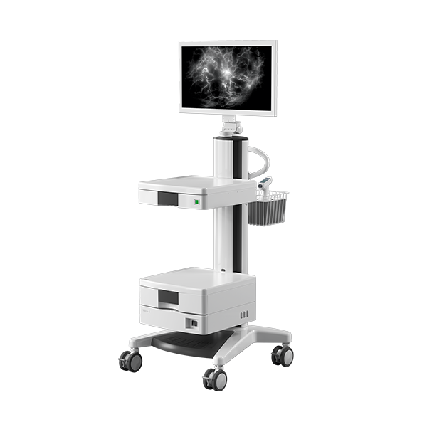 Fluorescence camera system for lymphatic