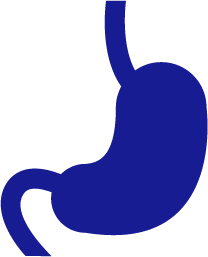 描述