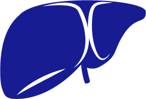 描述