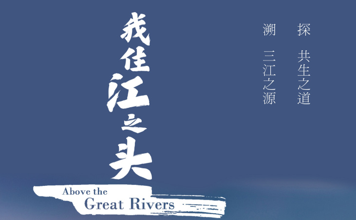 黑琵助力野生动物保护，亮相央视大型纪录片《我住江之头》