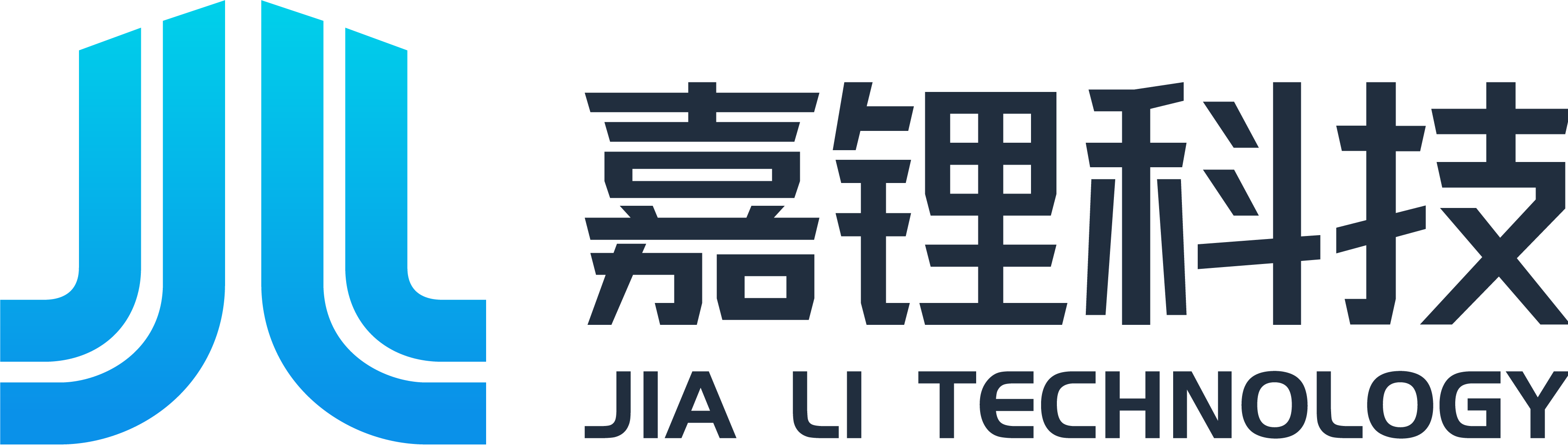 描述