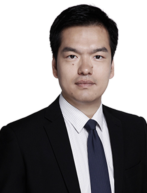 刘林茂，同系资本创始合伙人，兼任多家公司董事、监事职务。曾任九鼎投资副总裁，历任九鼎投资医药投资部负责人、华北地区业务开发部负责人等职。先后负责工业制造、医药医疗、消费品等行业的项目开发、尽调、投后管理等工作。截至目前，主导、参与近200余个项目投资决策，投资金额超过5亿元，涉及医 药医疗、消费品、工业制造等众多行业，其中多家企业已成功在主板上市或新三板挂牌，包括方盛制药（SH.603998）、维力医疗（SH.603309）、尔康制药（SZ.300267）、威门药业 （OC.430369）、西安盘龙（已申报中小板）、罗浮山国药（拟申报上市）、威尔曼制药（拟申报上市）、西安万隆（已申报上市）等。同时主导、参与多家上市公司并购重组，包括上海莱士（SZ.002252）收购邦和药业、方盛制药（SH.603998）医药并购基金收购国内知名肿瘤连锁医院珂信健康。