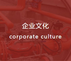 描述