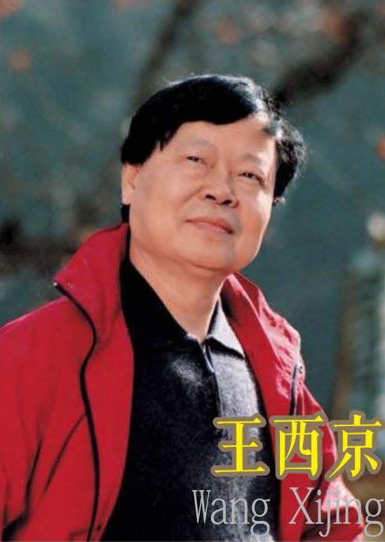 王西京