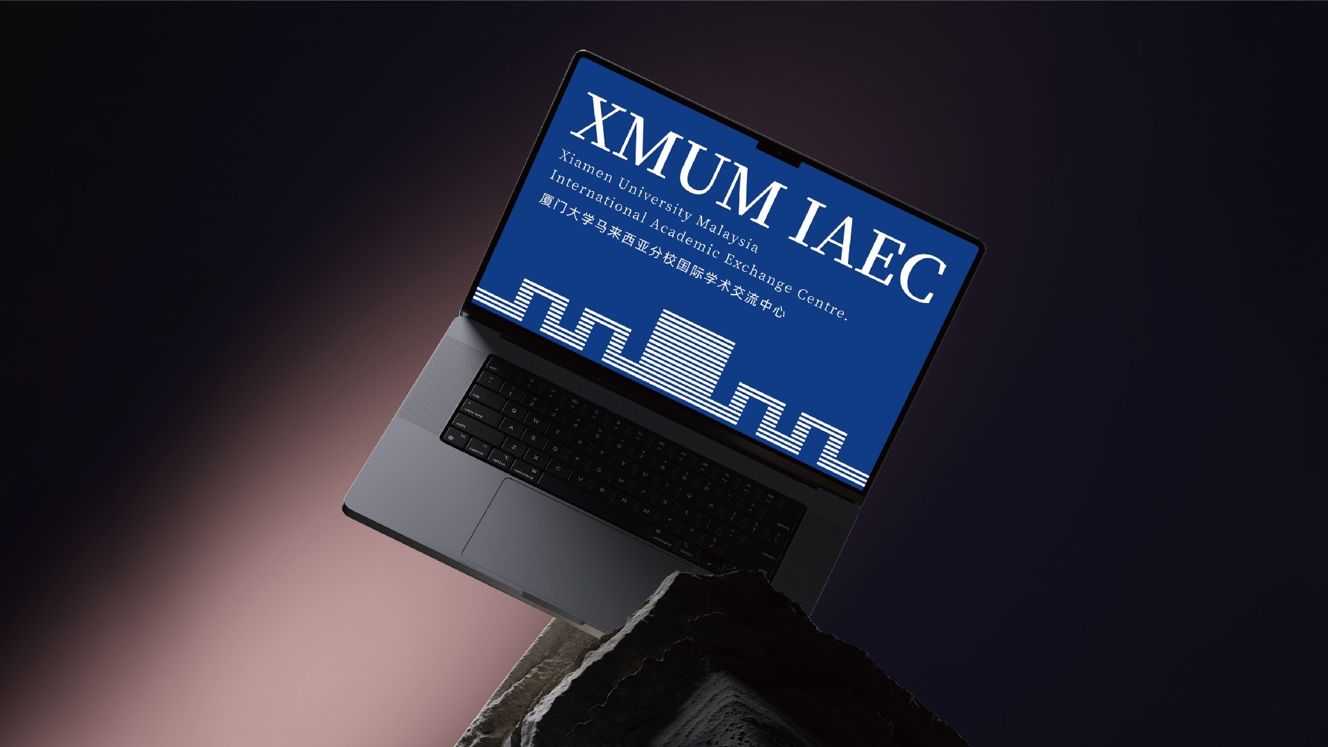 厦门大学LOGO-11
