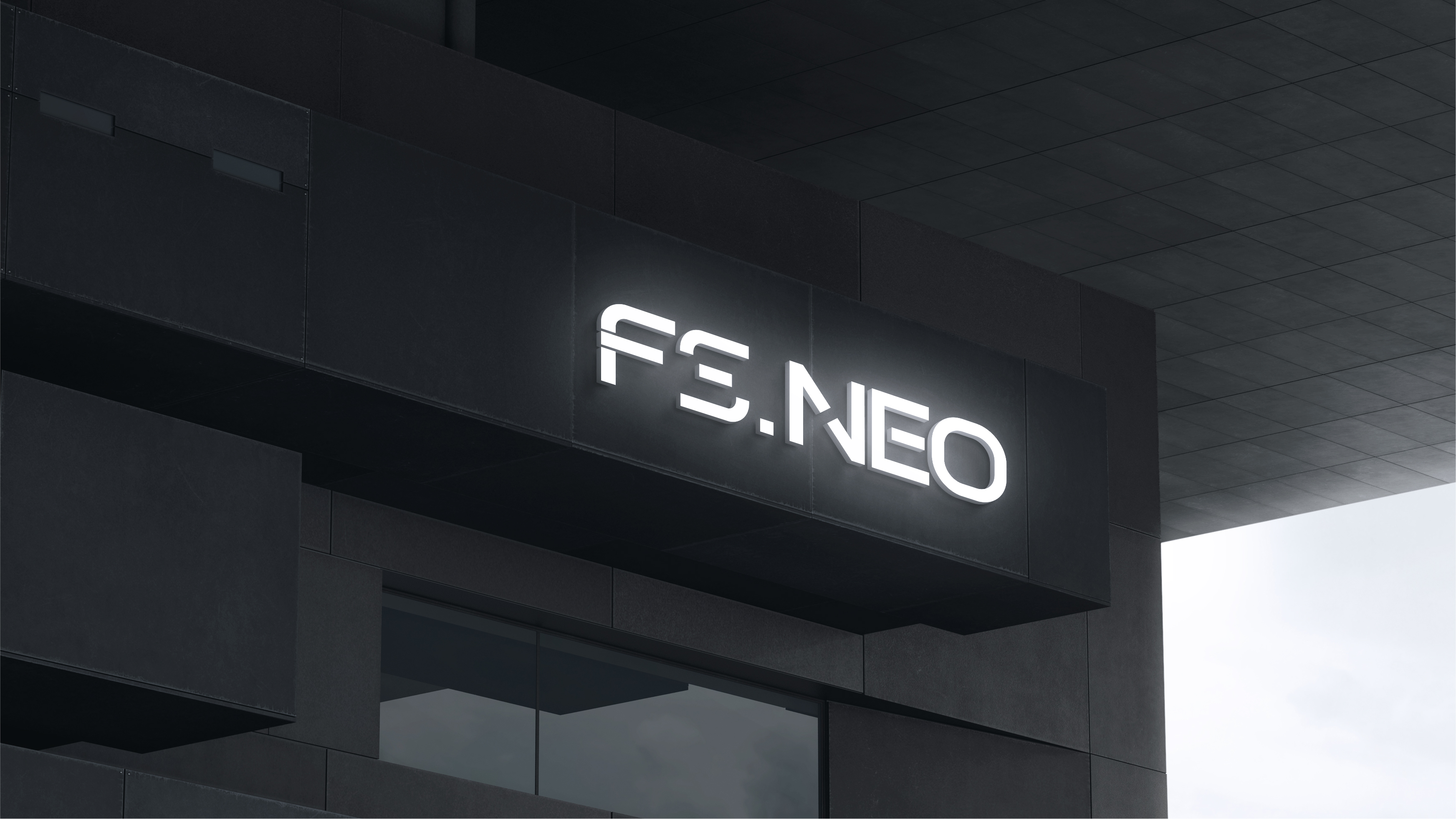fsneo-05