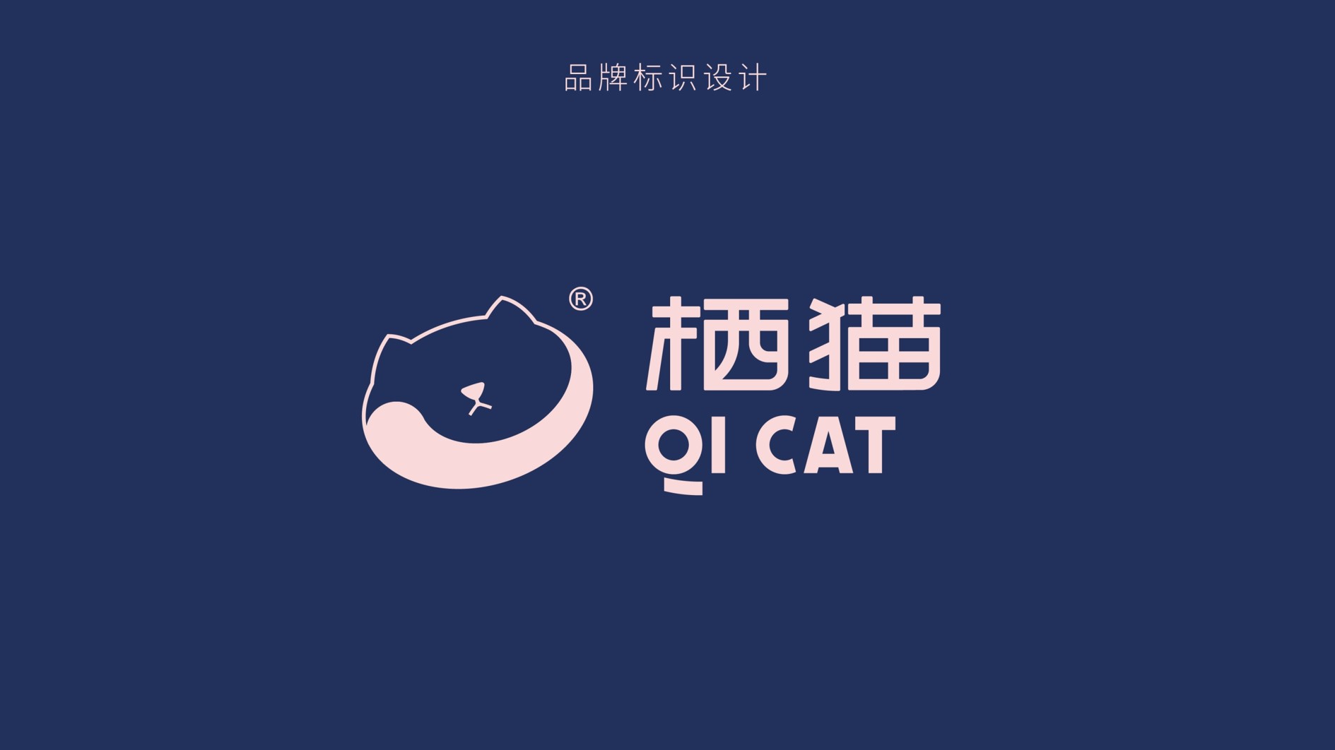 大胆星球模板-22