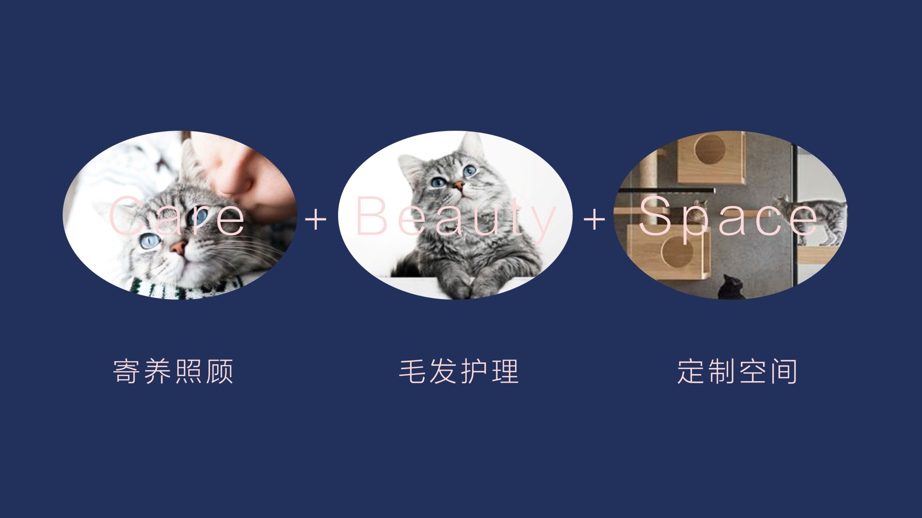 图片20