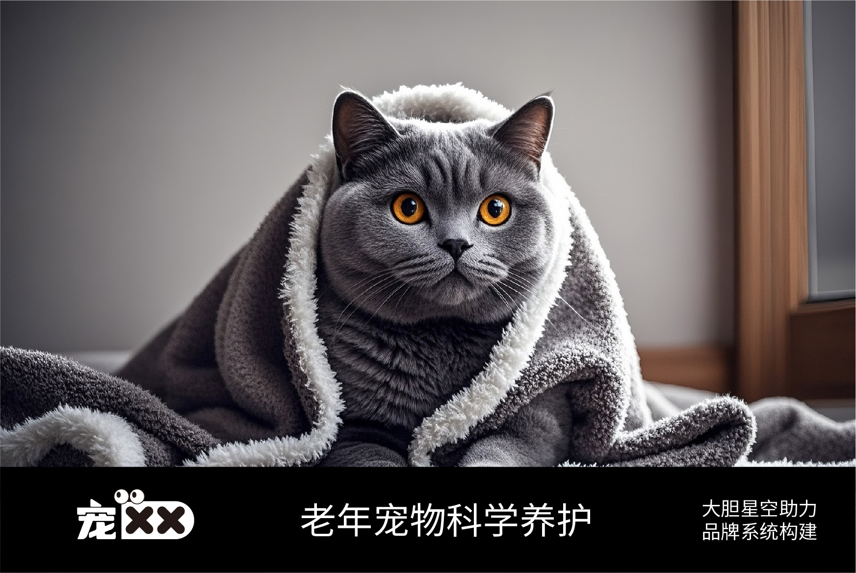 源文件-02