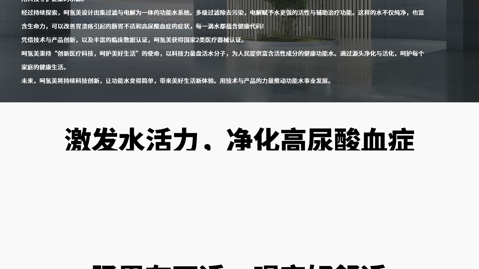 20240715_九川风竹海棠_VISA（转曲）-19_23