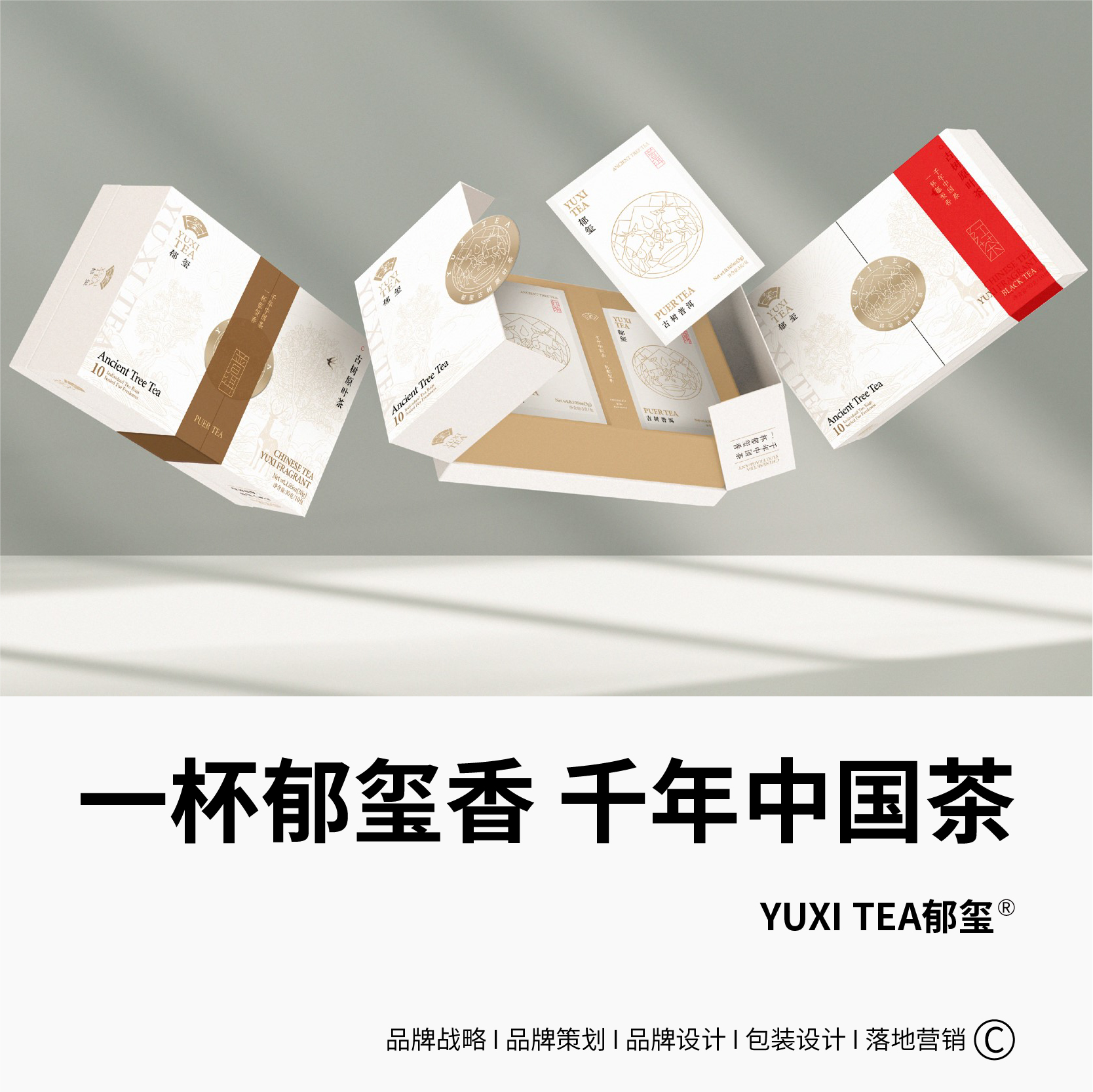 源文件-06-06
