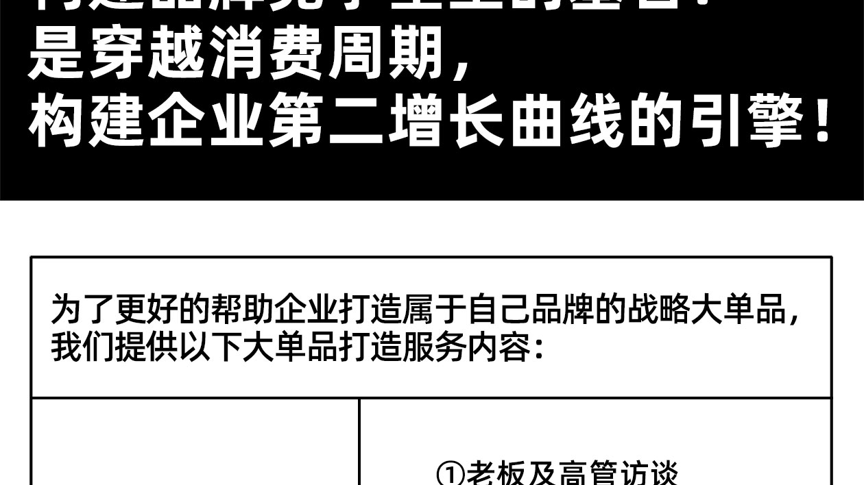 大单品推广_02