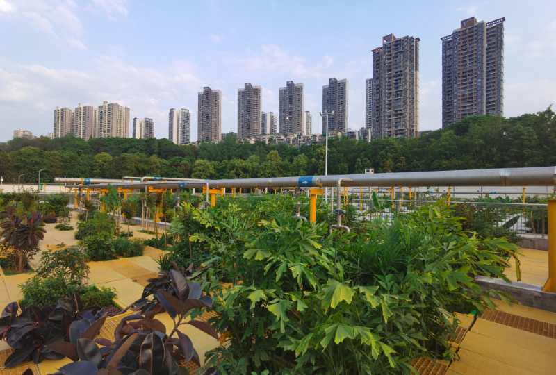 Weixin Image_20250512142006
