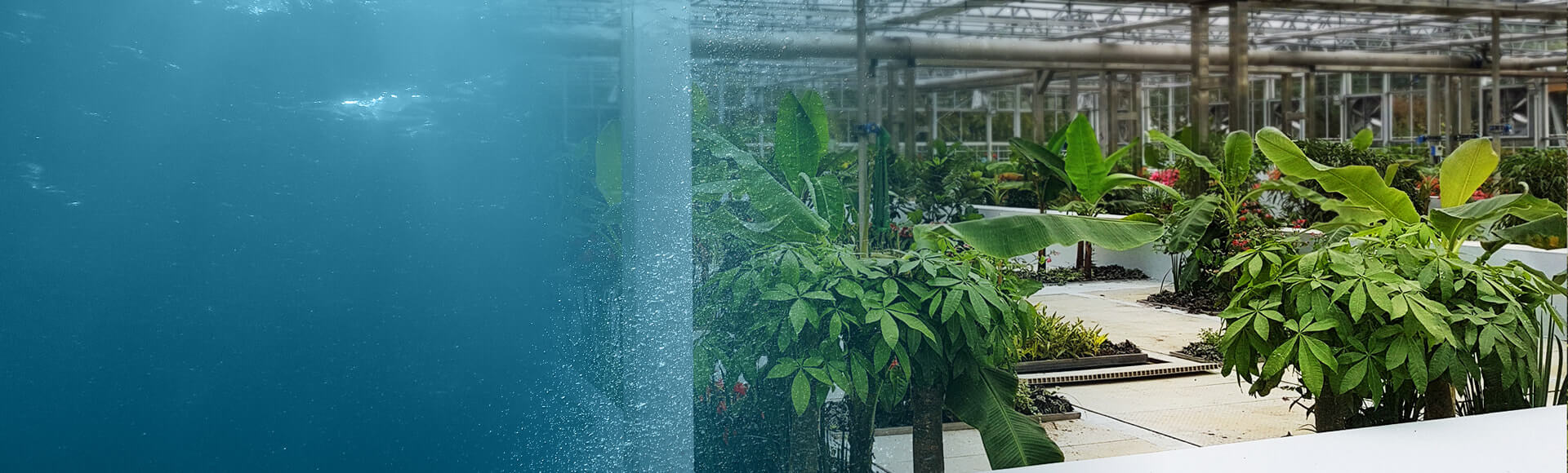home_header_new_4-min