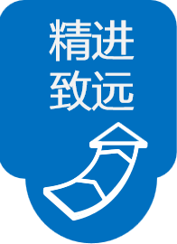 描述