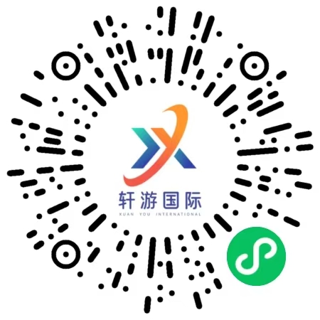 描述