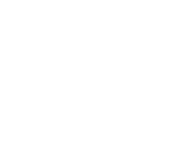 描述