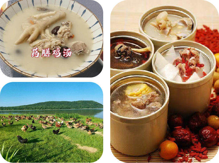 Seasonal medicinal diets,
harmony of the five elements