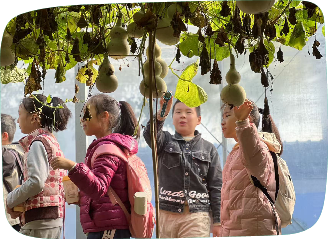 图片24_20250605_17490950027984760