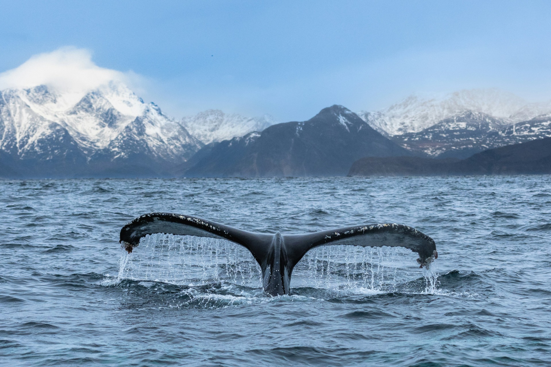 felix-rottmann-cqpkw4EuLoQ-unsplash