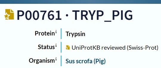 17488821029658c16dda4e3875ed3