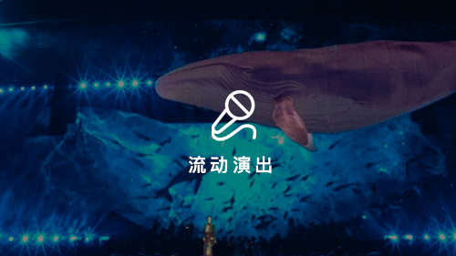 流动演出涵盖户外巡演、室内外临时场地表演等多种场景，场地、观众规模、节目类型均不固定。本方案旨在构建一套可灵活适配不同演出环境，能稳定输出高品质音效的专业音响系统，保障各类流动演出顺利开展，为观众带来优质听觉体验。